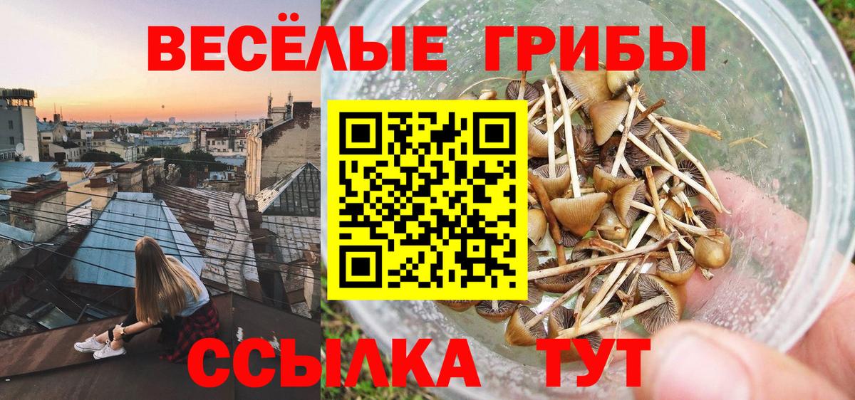 ГАШ  Вход с VPN  Грязи  Конопля  Гашиш  МЕФ   Cocaine  МДМА 