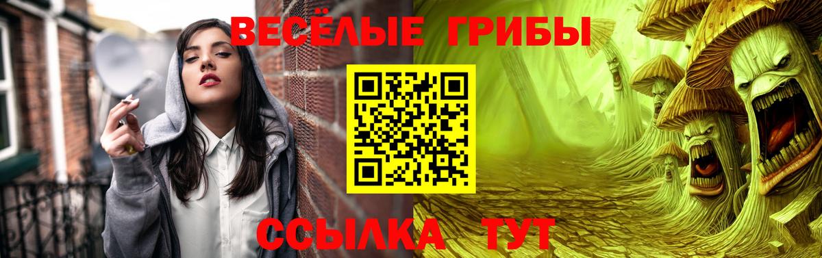 Псилоцибиновые грибы мицелий Грязи